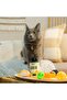 Pet Joint Support Supplement for Cats & Dogs, NASC Certified, 90 Chewable Tablets - 6