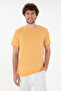 Men's Regular Fit Crew Neck Orange Basic T-Shirt 50305928-Vr202