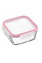 Feyzade Fresco Storage Container Set 3 Pieces 720Cc (Frs-247) - 3