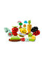 DUPLO First Organic Garden 10984 - Creative Toy Building Set for Preschool (43 Pieces) - 6