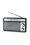 راديو FM/AM RF-562DD2 - أسود