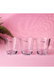 290 ML (9.8 OZ) Transparent Glass Tumbler Set- RF11654 - 5