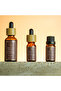 Bay Leaf Oil- Bay Leaf Essential Oil 10 ML Revitalizing & Purifying-Revitalizing & Purifying - 2