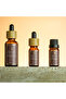 Peppermint Essential Oil – Peppermint Essential Oil 10 ml Refreshing - 2