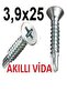 3*9*25 MATKAP UÇLU AKILLI VİDA 100 ADET - 2