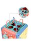 Salamandra Kids Educational and Interactive Plastic Cube - 3