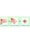 Bird Training Ring Toy Parrot Educational Toys Training Interactive Bird Supplies Bird Toys Rando... - 5