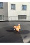 Cute Dog Shiba Torpedo Pillar Akseseve Rearview Mirror Ornament - 6