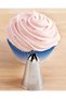 Stainless Steel Cream Piping Bag Tip 1 Piece + 4 Whipped Cream Bags