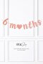 Pink 6 Month Party Balloon Set Cream Retro Bear Half Age Balloon Set with Bow Banner - 3