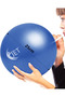 Mini Pilates Ball 25 cm Plates Balance Ball and Inflation Stick Blue - 3