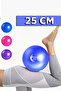 Mini Pilates Ball 25 cm Plates Balance Ball and Inflation Stick Blue - 7