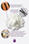 Alight Enzyme Peeling Powder - Brightening and Purifying Powder Peeling 75 Gr - 5