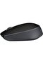Wireless Mouse For PC & Laptop - M171 - 4