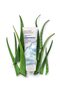 Fragrance-Free Hand & Body Lotion - 8 Fl Oz - Aloe, Shea, Green Tea, Coconut, Jojoba - 8