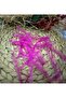 Fuchsia 6 mm Organza Ready Bow Ribbon 10 Pcs Balloon Cake Ribbon - 3