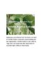 Soondy Centella Asiatica Essence - Hydrating & Soothing for Sensitive Skin (100ml) - 2