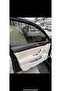 WW PASSAT 8.5 طلاء ماهوجني - 2