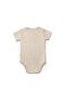Baby 3-Pack Short Sleeve Bodysuits, 100% Organic Cotton, Infant and Newborn Series -Csy8122 - 8