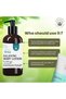 Brisa Aloe Vera Body Lotion for Dry Skin with Vitamin E, Organic Moisturizer (300ml) - 3