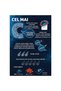Joc Cel Mai C - 3