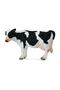 Vaca