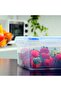 2600ml Food Storage Container Transparent - 5