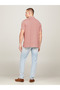 Men Polos - 4