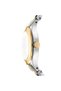 Dk1L026M0055 Women's Wristwatch - 2