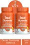 Gummies Defence 60 Çiğnenebilir Form 2 Adet