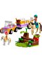 Friends Set - Pony and Horse Trailer (42634) - 6