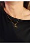 Double North Star Gold Steel Necklace - 3