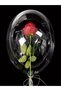 Transparent Balloon 2 Pieces |   Flower and Teddy Bear Attachable Balloon |   Transparent Balloon with Confetti |   Bobo Balloon - 6