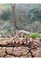 Sandor Sun Bracelet / Sun-Hematite - 2