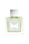 Embrace Green Tea & Pear Blossom For Women Eau De Toilette 30ml - 2