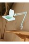 Illuminated Jeweler Lamp with Magnifier