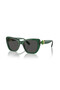 Sk 6018 Col 104587   52-18-135 Women's Sunglasses