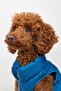 Dog Clothing, Puffer Waterproof Dog Coat, Small and Medium Breed Dog Suit - 4