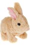 Cookie Jumping Rabbit, Pugs At Play, St Pap11, Hopping Club