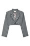Stylish Lapel Detailed Crop Blazer for Women
