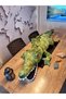Crocodile Giant Crocodile 2 Meters Plush - 8