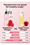 Raspberry Hair Vinegar Rinse 6.76 Fl oz - Scalp Treatment, Balanced pH, Shiny Hair | Korean Care - 4