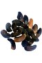 20 Pack Natural Free Range Grass Fed Buffalo Hooves, No Additives or Hormones