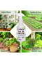 32 oz Peppermint Spray - Protects Against Spider Mites, Insects, Gnats, Fungus, Includes Cloth - 3