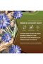French Roast Chicory Coffee, 11oz: Caffeine-Free, Acid-Free, Prebiotic, Dark Roast - 5