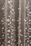 Beige Mink Light Brown Color Right Left Wing Background and Inner Tulle Set Combination Daisy Gradient Tulle Curtain - 4