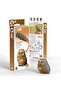3d Model - Owl - Educational And Interactive Game For Children