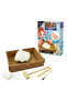 Digging Kit - Discovering and Learning About Shells - 4