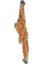 Hanging monkey Com Langur with chick - 2