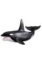 Orca ucigașă